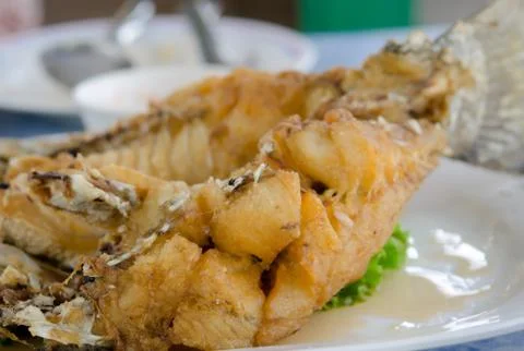 Fish dish Stock Photos