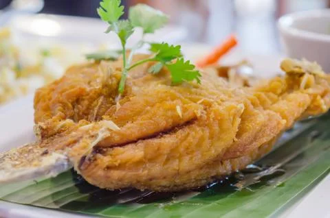 Fish dish Stock Photos