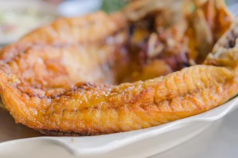 Fish dish 스톡 사진