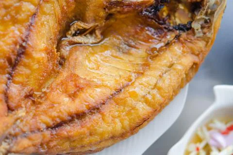 Fish dish Foto stock