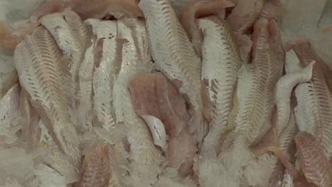 Fish displayed for sale Stock Footage 79733950