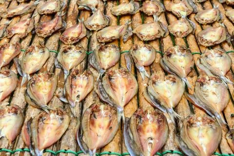 Fish dried by sunlight. Stock Photos