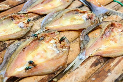Fish dried by sunlight. Stock Photos