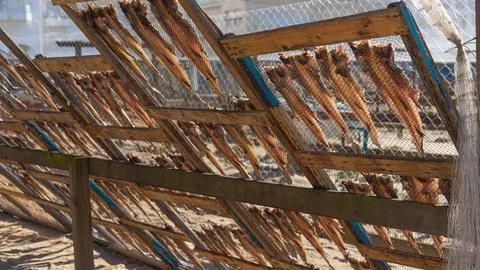 Fish drying on the beach in Nazare Stock-Fotos
