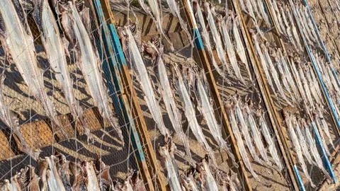 Fish drying on the beach in Nazare Stock-Fotos
