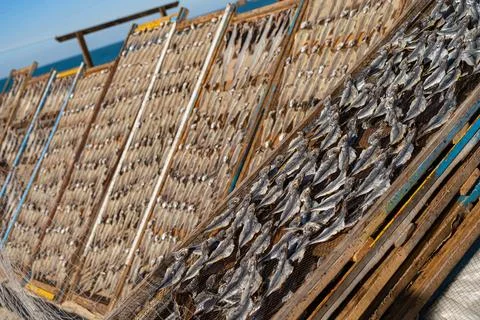 Fish drying on the beach in Nazare Stock-Fotos
