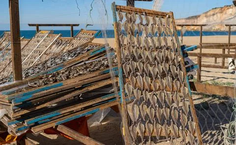 Fish drying on the beach in Nazare Stock-Fotos