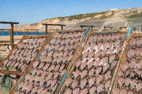 Fish drying on the beach in Nazare Stock-Fotos