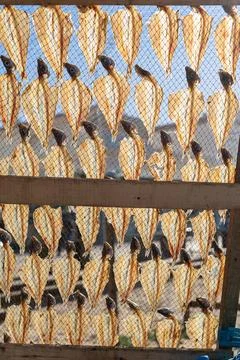 Fish drying on the beach in Nazare Stock-Fotos