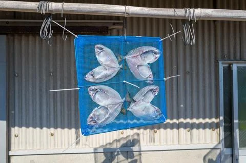 Fish drying in blue net outside seaside shop Stock Photos