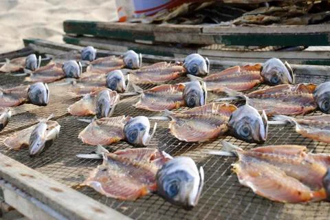 Fish drying closeup Foto stock