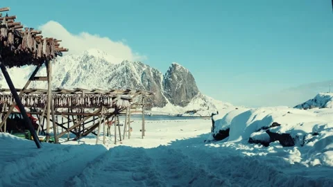 Fish drying in Norway Stock Footage 228674153