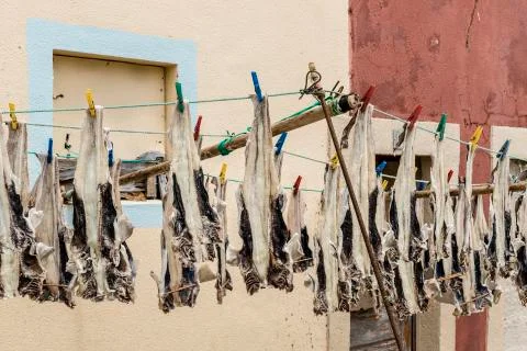 Fish drying in open air Stock Photos