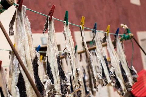 Fish drying in open air Stock Photos