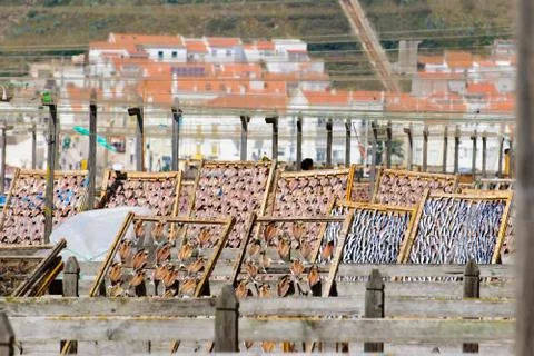 Fish drying outside Stock Photos