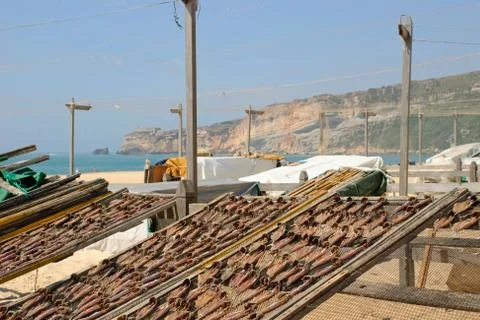 Fish drying outside Stock Photos