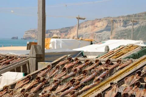 Fish drying outside Stock Photos