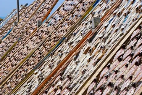 Fish drying outside Stock Photos