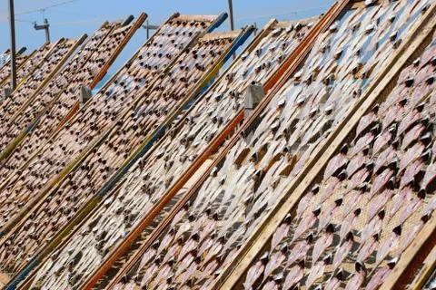Fish drying outside Foto stock