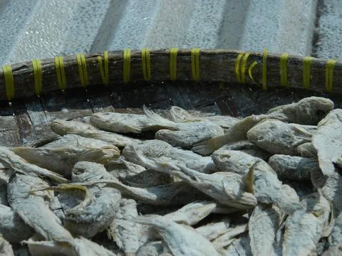 FISH DRYING PROCESS Stock Photos