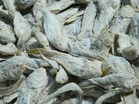 FISH DRYING PROCESS Stock Photos