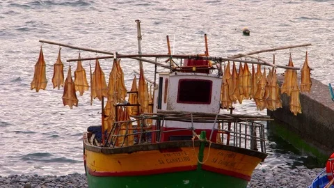 FISH DRYING RACKS ON BOAT CAMARA DE LOBOS MADEIRA Stock Footage 83668508