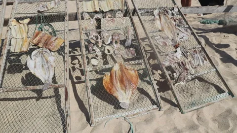 Fish drying on racks in the sun in Nazare Stock Footage 345977893