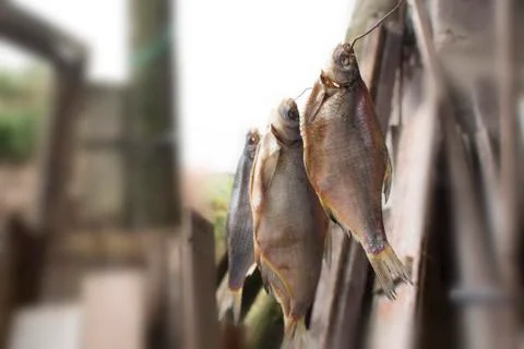 Fish drying on the rope,dried fish Foto stock