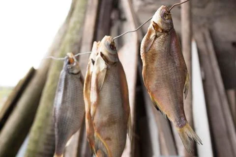 Fish drying on the rope,dried fish Stock Photos