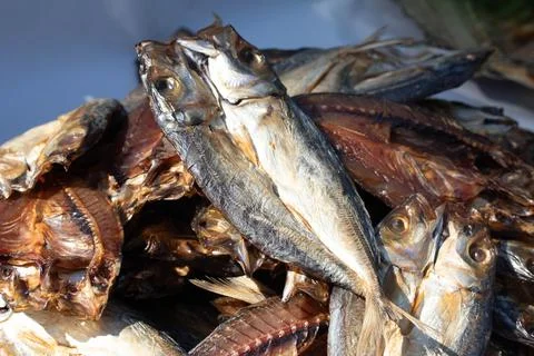 Fish drying in the sun for cooking. Stock-Fotos