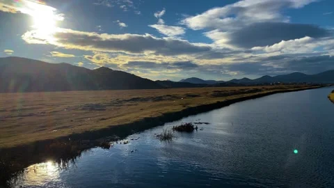 Fish dying due to toxic environmental pollution in the lake 動画素材 295626203