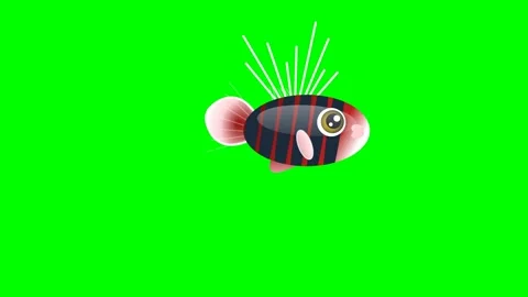 Fish Dynamic with Bee - Chroma Key Green Screen Footage Video stock 336959180