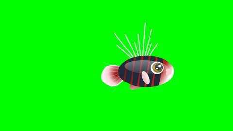 Fish Dynamic - Chroma Key Green Screen Footage Video stock 336959164