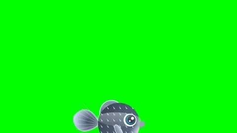 Fish Dynamic - Chroma Key Green Screen Footage Stock Footage 336960414