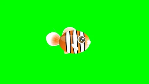 Fish Dynamic with Clown - Chroma Key Green Screen Footage Video stock 336959257