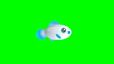 Fish Dynamic on Green Screen Chroma Key Background Stock Footage 336960569