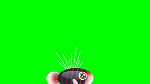 Fish Dynamic with Striped on Chroma Key for Compositing Video stock 336959149