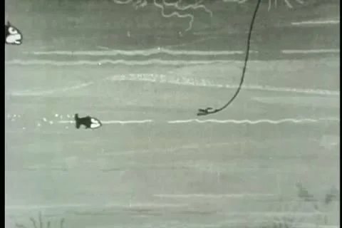 Fish eating each other on fish hook 스톡 동영상 11346119