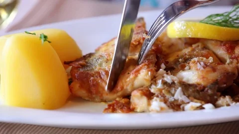 Fish eating at restaurant Stock Footage 75194292