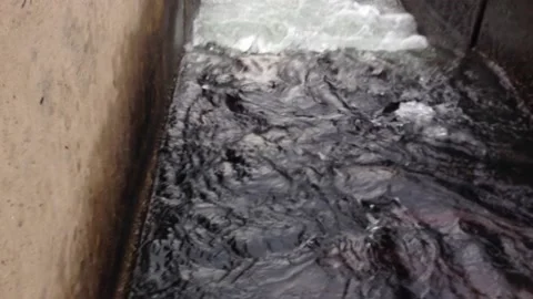 Fish Eggs and Hatcherty Stock Footage 144069862