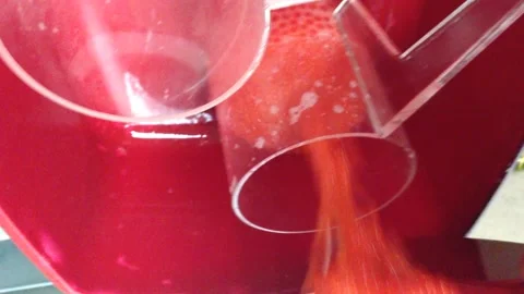 Fish Eggs and Hatcherty Stock Footage 144069901