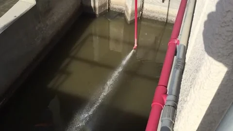 Fish Eggs and Hatcherty Video stock 144070432