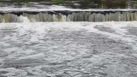 Fish energetically jumping over a waterfall Stock Footage 307494743