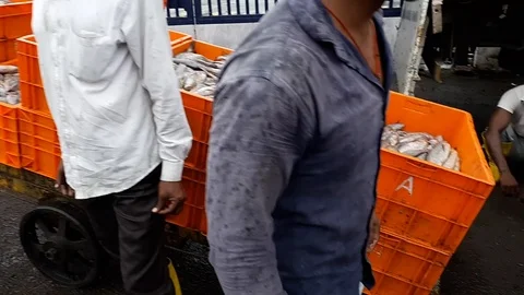 Fish export from old famous dock Bhaucha dhakka of Mumbai metro city Stock Footage 120055283