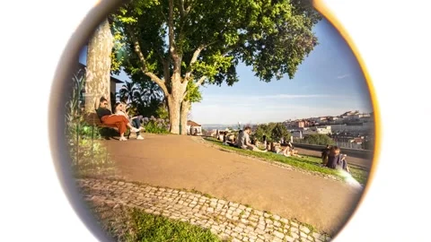 Fish eye park Timelapse Stock Footage 199098342