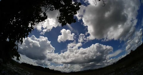 Fish eye time lapse of roiling cumulonimbus clouds building framed by trees Stock-Footage 152529059