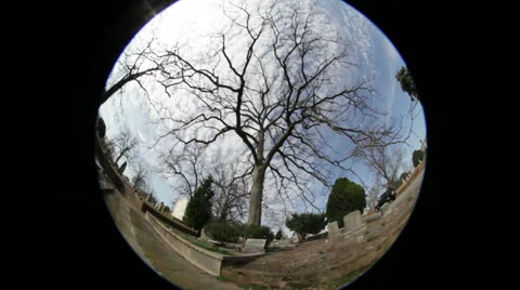Fish Eye Time Lapse with tree in foreground Video stock 36682919