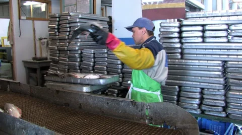 Fish, factory, Vídeo Stock 943190