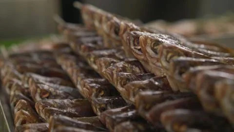 Fish factory process. Fish cooked for drying at the fish factory. Processing  Stock Photos