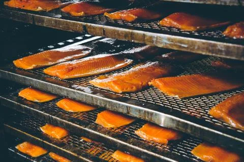 Fish factory process Stock Photos